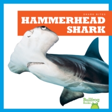 Hammerhead Shark