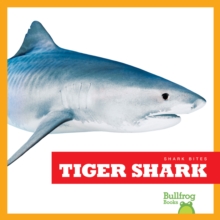 Tiger Shark