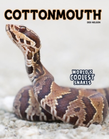 Cottonmouth