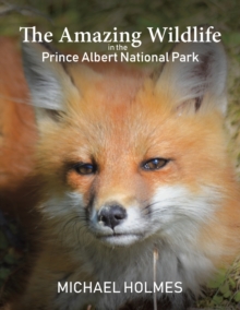 The Amazing Wildlife in the Prince Albert National Park, Paperback / softback Book The Amazing Wildlife in the Prince Albert National Park, Paperback / softback Book