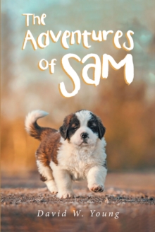 The Adventures of Sam