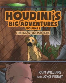 Houdini's Big Adventures : Finding a Forever Home