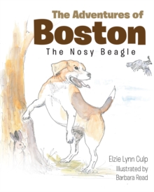 The Adventures of Boston - The Nosy Beagle