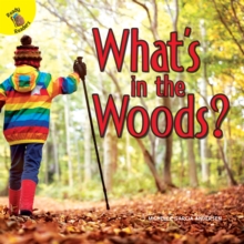 What's in the Woods?