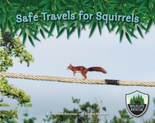 Safe Travels for Squirrels