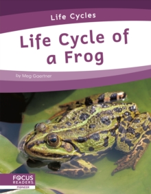 Life Cycle Of A Frog