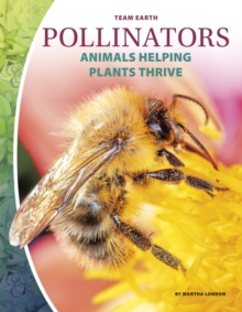 Pollinators