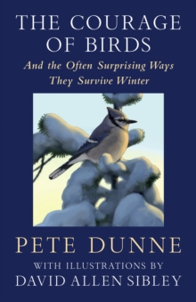 The Courage Of Birds : And The Often Surprising Ways They Survive Winter