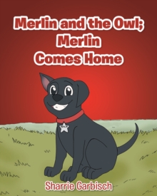 Merlin and the Owl: Merlin Comes Home