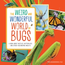 The Weird and Wonderful World of Bugs : A Book About Beetles, Butterflies, and Other Fascinating Insects