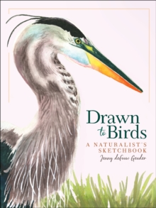 Drawn to Birds : A Naturalist's Sketchbook