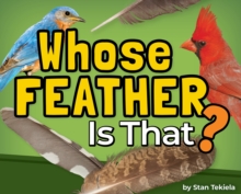 Whose Feather Is That?