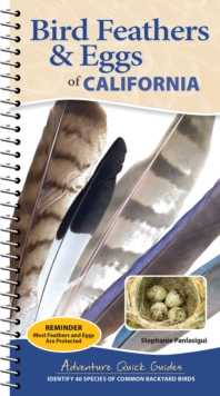 Bird Feathers & Eggs of California : Identify 40 Species of Common Backyard Birds