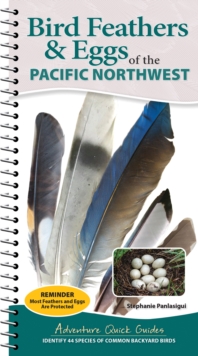 Bird Feathers & Eggs of the Pacific Northwest : Identify 44 Species of Common Backyard Birds