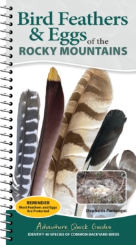 Bird Feathers & Eggs of the Rocky Mountains : Identify 40 Species of Common Backyard Birds