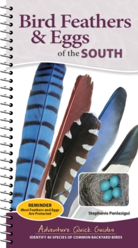Bird Feathers & Eggs of the South : Identify 40 Species of Common Backyard Birds