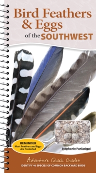 Bird Feathers & Eggs of the Southwest : Identify 40 Species of Common Backyard Birds