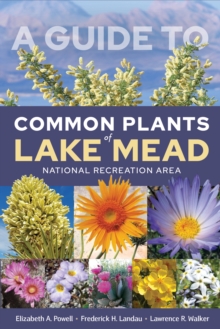 A Guide to Common Plants of Lake Mead National Recreation Area