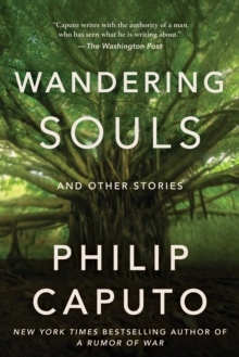 Wandering Souls : And Other Stories
