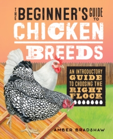 The Beginner's Guide to Chicken Breeds : An Introductory Guide to Choosing the Right Flock