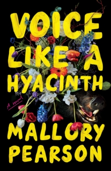 Voice Like A Hyacinth : A Novel