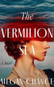 The Vermilion Sea : A Novel