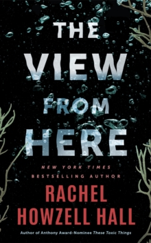 The View from Here : A Thriller