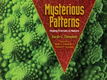 Mysterious Patterns : Finding Fractals in Nature