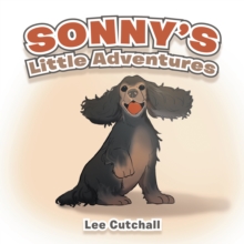 Sonny's Little Adventures