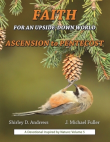 Faith for an Upside-Down World : Ascension to Pentecost