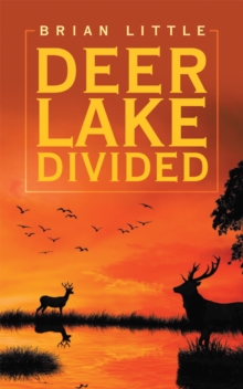 Deer Lake Divided