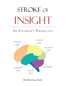 Stroke of Insight : An Engineer's Perspective