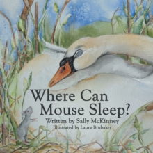 Where Can Mouse Sleep?