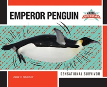 EMPEROR PENGUIN