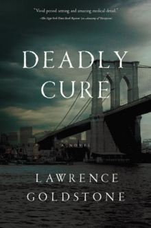 Deadly Cure - A Novel, Hardback Book Deadly Cure - A Novel, Hardback Book
