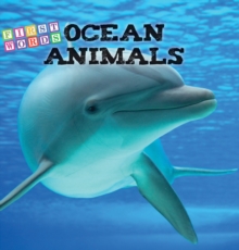 Ocean Animals