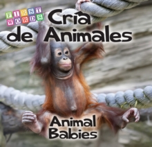 Cria de animales : Animal Babies