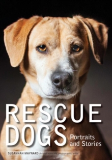 Rescue Dogs, Paperback Book Rescue Dogs, Paperback Book