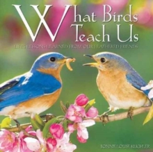 What Birds Teach Us, Hardback Book What Birds Teach Us, Hardback Book