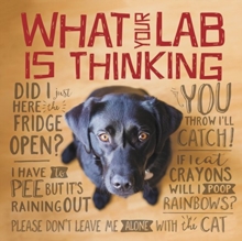 What Your Lab Is Thinking, Hardback Book What Your Lab Is Thinking, Hardback Book