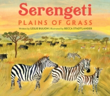 Serengeti : Plains of Grass