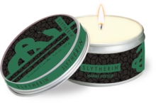 Harry Potter Slytherin Scented Tin Candle : Large, Mint, Other printed item Book Harry Potter Slytherin Scented Tin Candle : Large, Mint, Other printed item Book