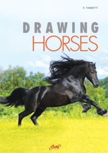 Drawing Horses