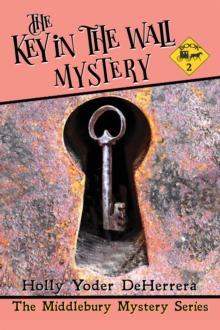 The Key in the Wall Mystery : Book 2