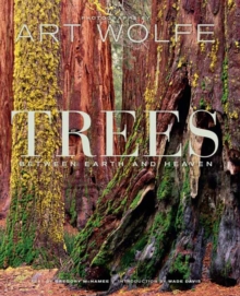 Trees : Between Heaven and Earth, Hardback Book Trees : Between Heaven and Earth, Hardback Book