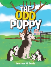 The Odd Puppy