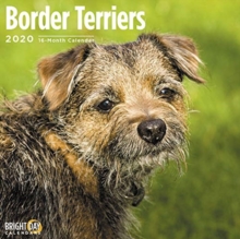 BORDER TERRIERS WALL CALENDAR 2020, Book BORDER TERRIERS WALL CALENDAR 2020, Book