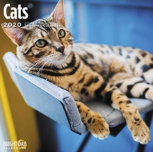 CATS WALL CALENDAR 2020, Book CATS WALL CALENDAR 2020, Book