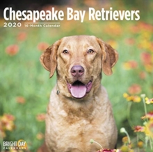 CHESAPEAKE BAY RETRIEVERS 2020, Book CHESAPEAKE BAY RETRIEVERS 2020, Book