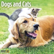 DOGS & CATS WALL CALENDAR 2020, Book DOGS & CATS WALL CALENDAR 2020, Book